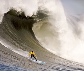 世界杯投注登录-B费与土耳其队传闻引热议，世界杯之路仍是焦点
